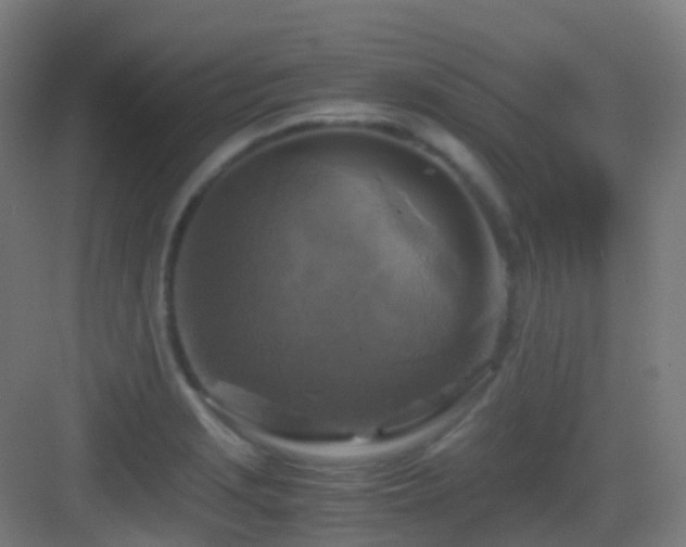 X0000083561229200702091116