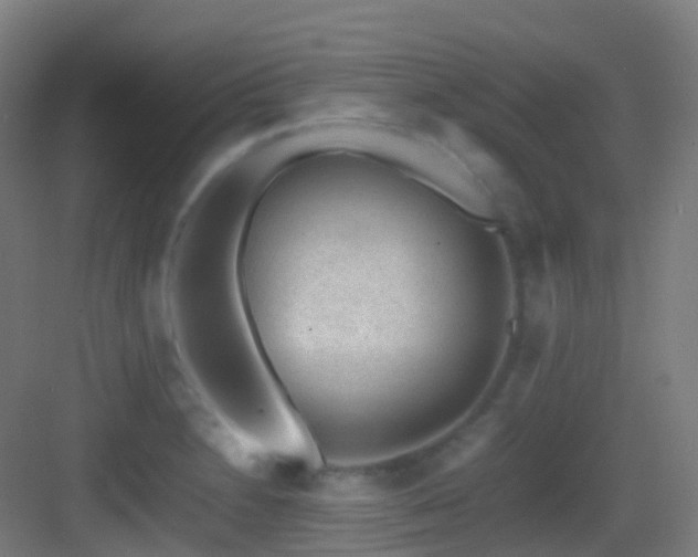 X0000083561230200702091116