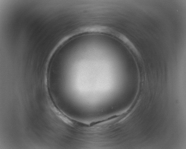 X0000083561232200702091116