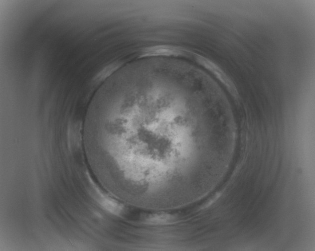 X0000083561233200702091116