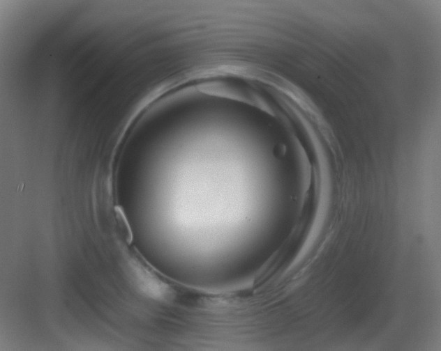 X0000083561234200702091116