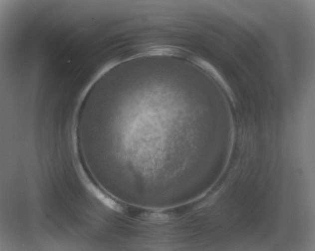 X0000083561235200702091116