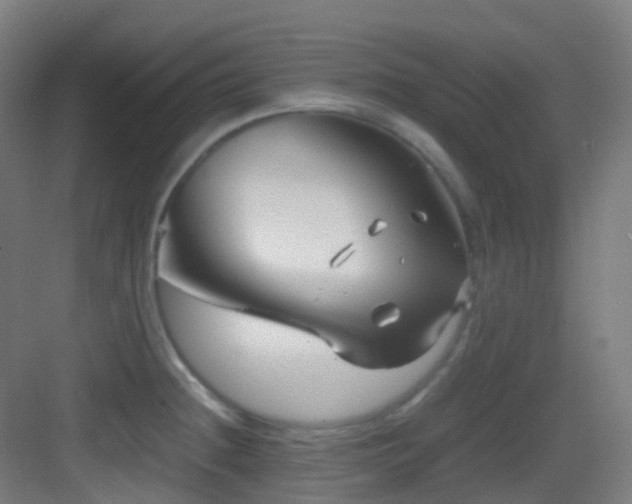 X0000083561236200702091116