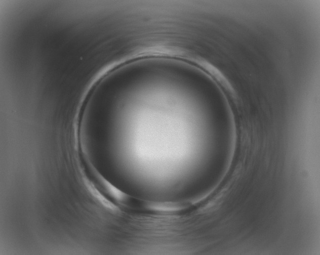 X0000083561238200702091116
