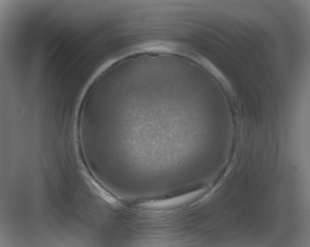 X0000083561240200702091116