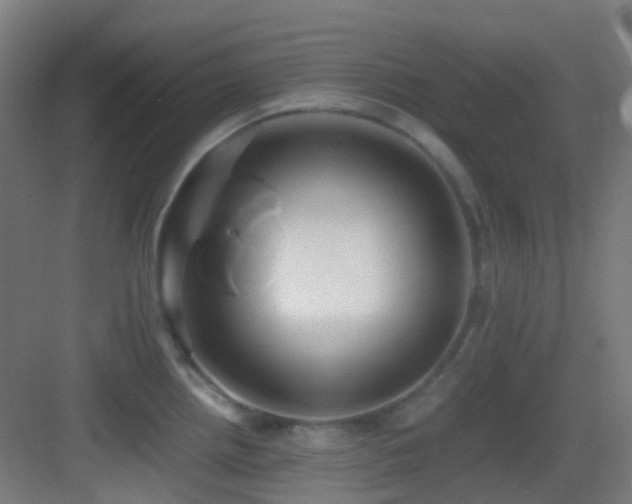 X0000083561242200702091116