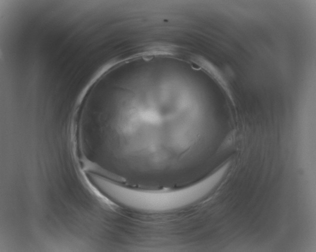 X0000083561243200702091116