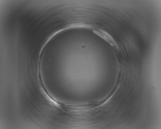 X0000083561244200702091116