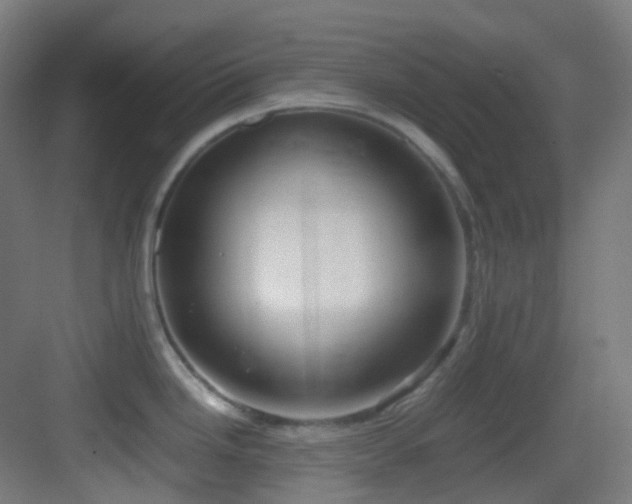 X0000083561246200702091116