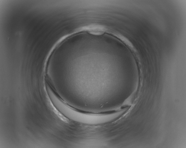 X0000083561248200702091116