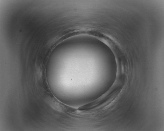 X0000083561257200702091115