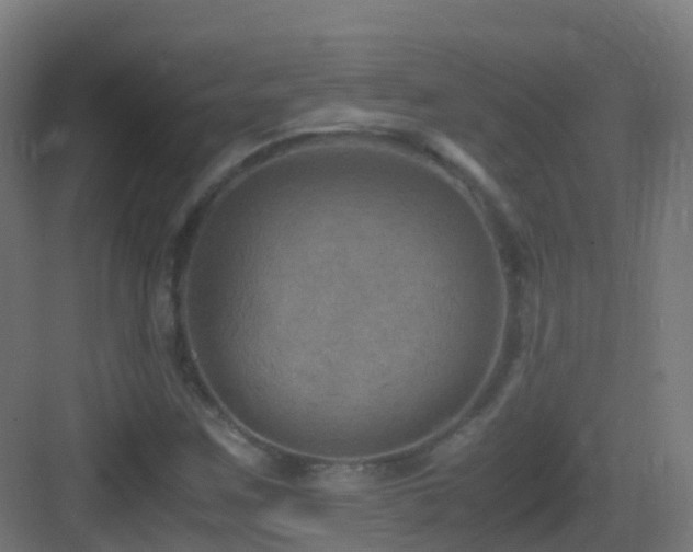 X0000083561259200702091115