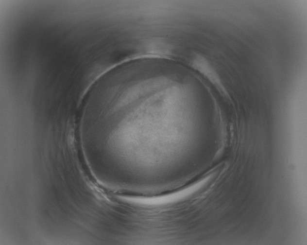 X0000083561260200702091115