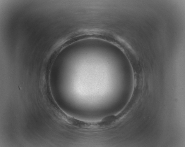 X0000083561261200702091115