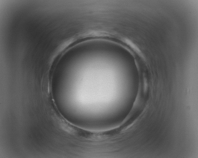 X0000083561269200702091115