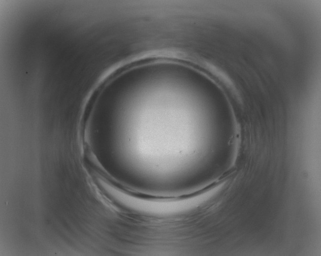 X0000083561272200702091115