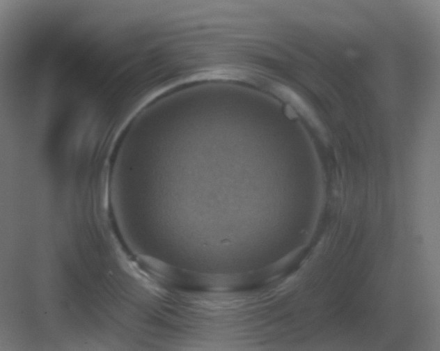 X0000083561276200702091115