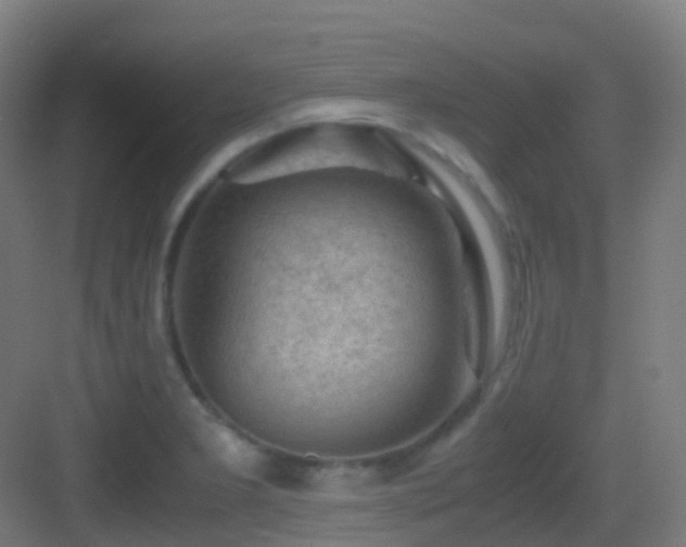 X0000083561277200702091115