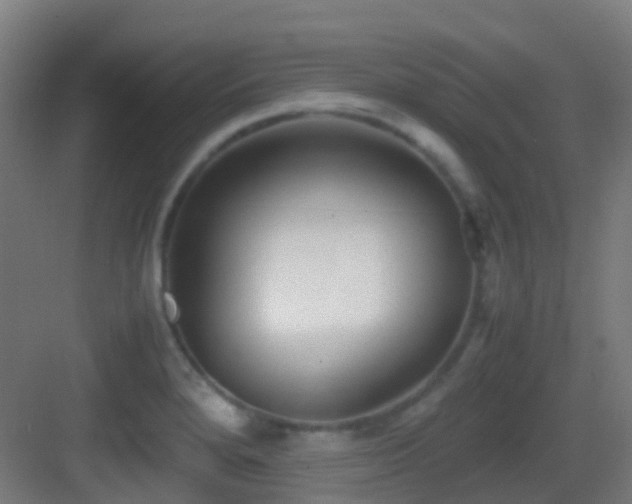 X0000083561280200702091115