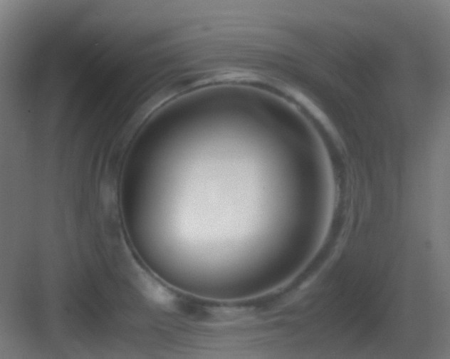 X0000083561281200702091115