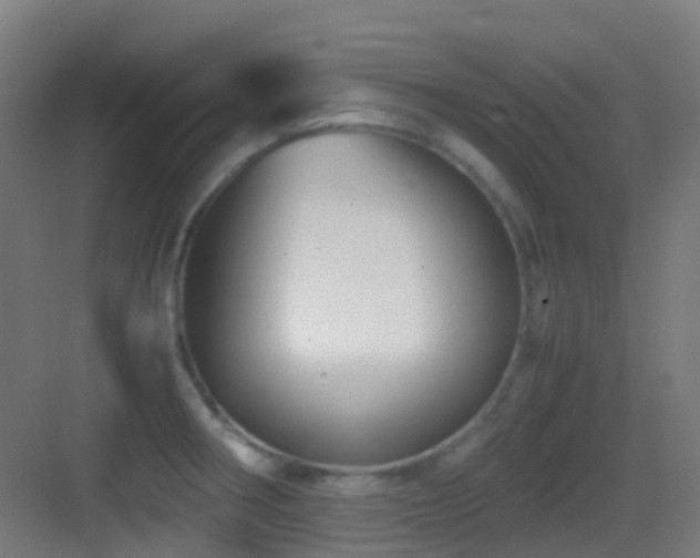 X0000083561282200702091115