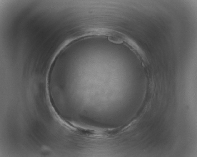 X0000083561283200702091115
