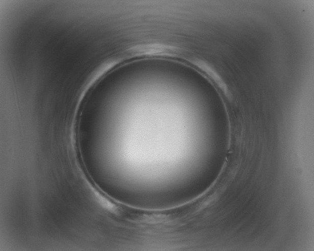 X0000083561285200702091115