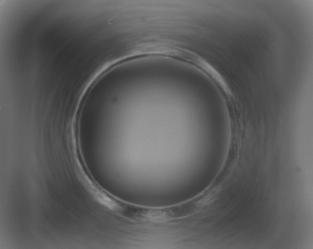 X0000083561291200702091115