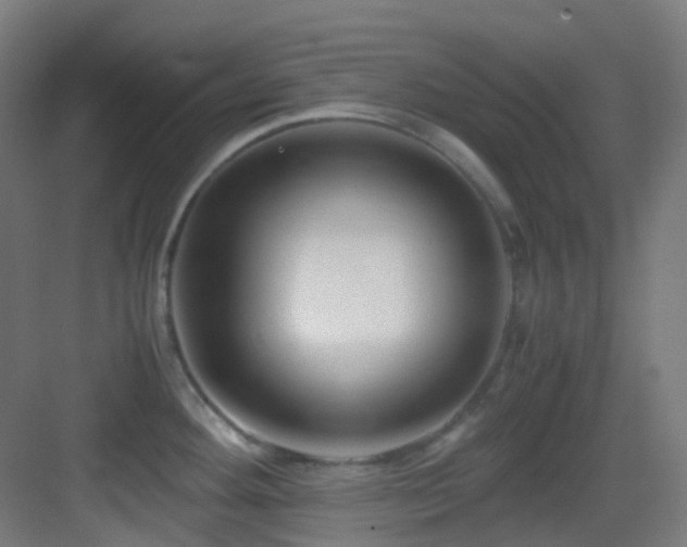 X0000083561292200702091115