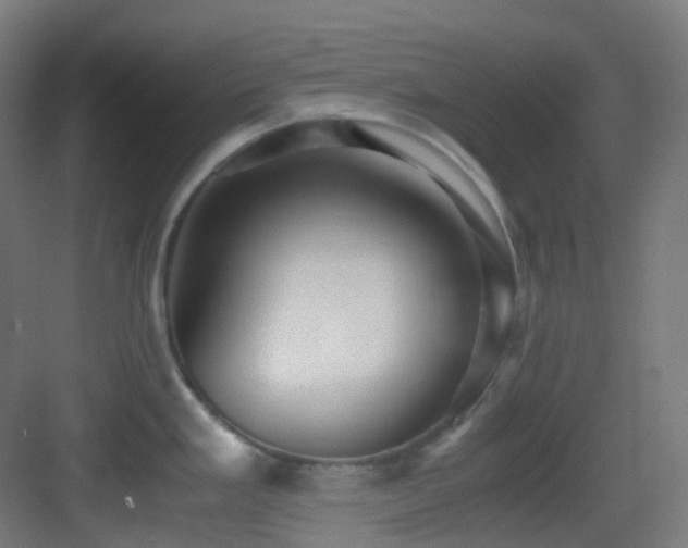 X0000083561293200702091115