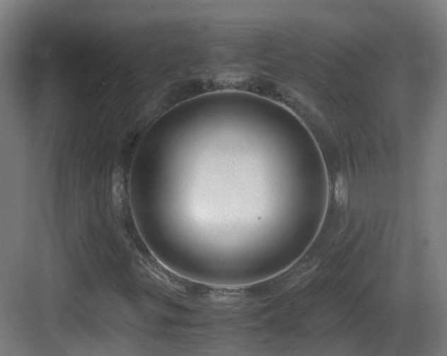 X0000083561299200702091114