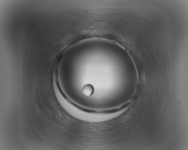 X0000083561300200702091114