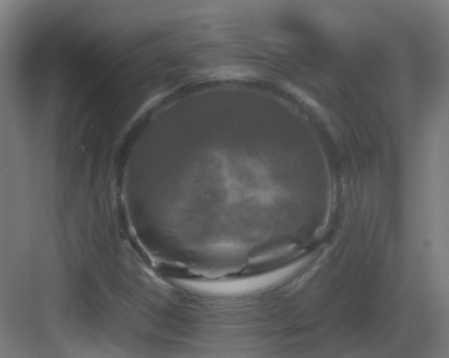 X0000083561306200702091114