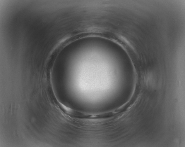 X0000083561307200702091114