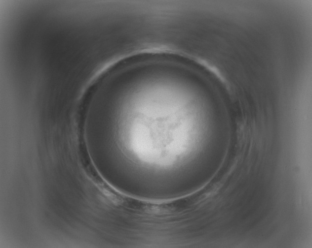 X0000083561311200702091114