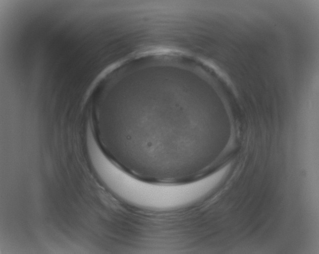 X0000083561314200702091114