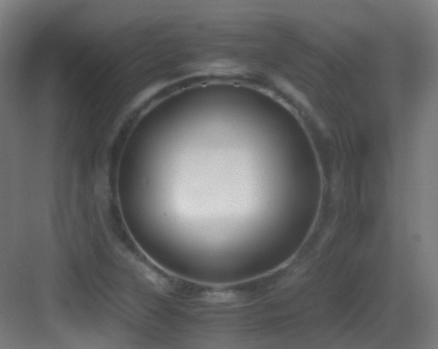 X0000083561315200702091114