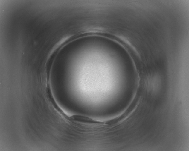 X0000083561317200702091114