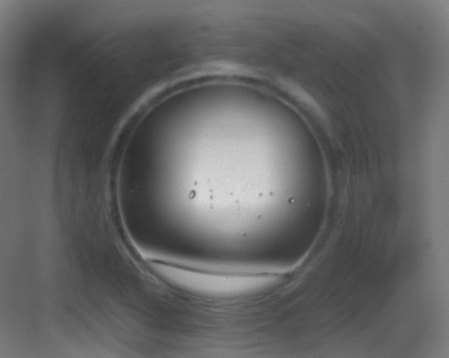 X0000083561318200702091114
