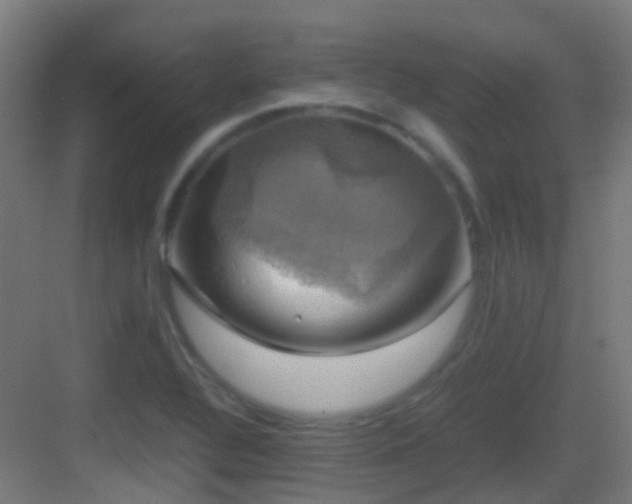 X0000083561320200702091114
