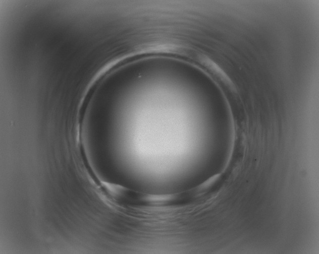 X0000083561324200702091114