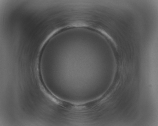 X0000083561325200702091114