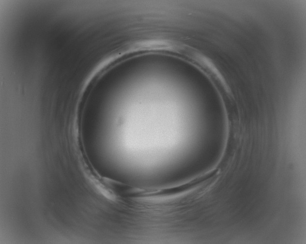 X0000083561328200702091114