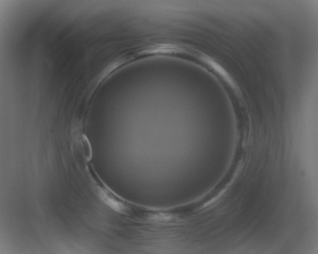 X0000083561329200702091114