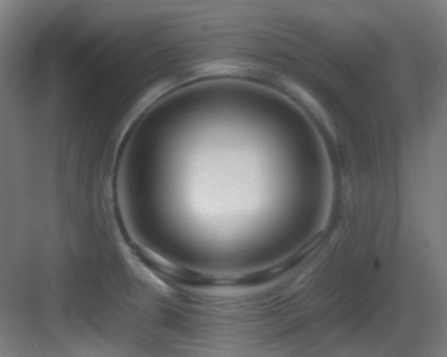 X0000083561330200702091114