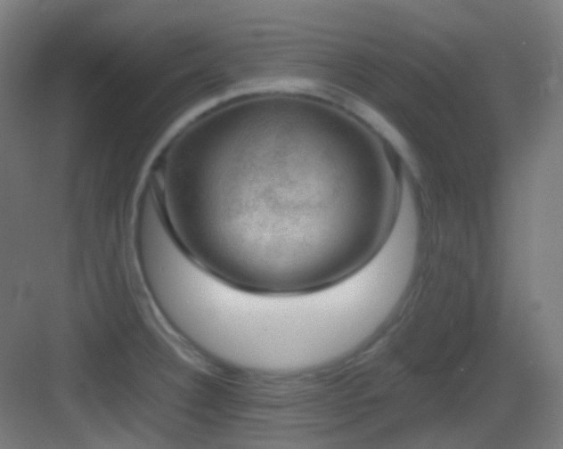 X0000083561332200702091114