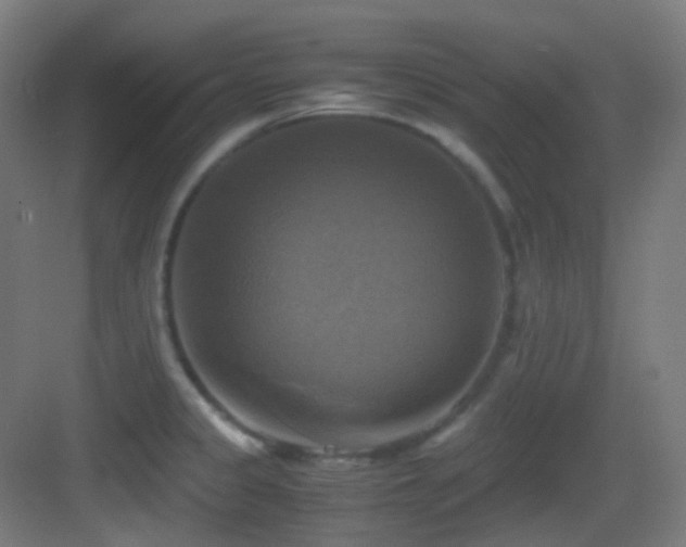 X0000083561333200702091114