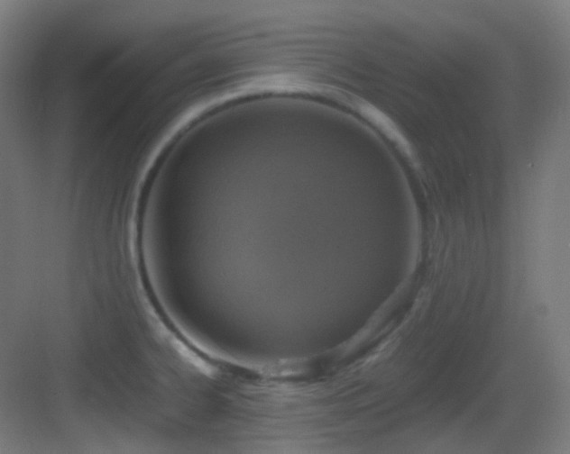 X0000083561334200702091114