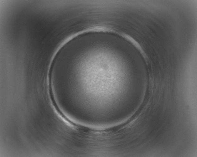 X0000083561335200702091114