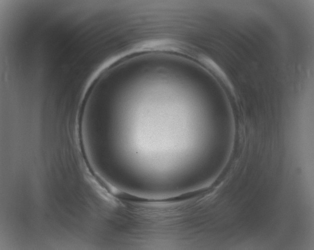 X0000083561336200702091114